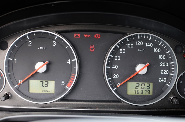 VIN kontrollige BielAZ